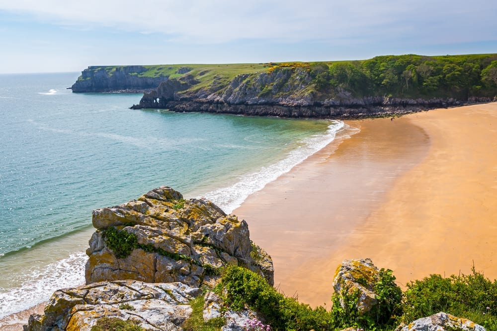 Overlooking the stunning beach at Barafundle Bay on the Pembrokeshire coast