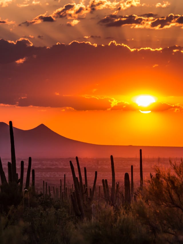 5 Interesting Things to know about Tucson Arizona