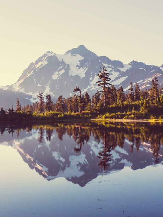 Interesting things to know about Washington State