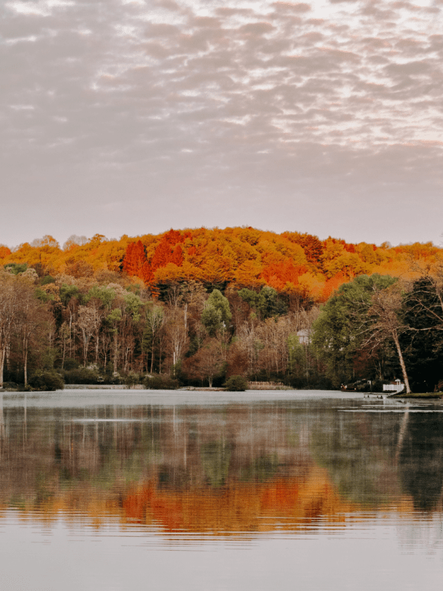 Interesting Things to know about West Virginia