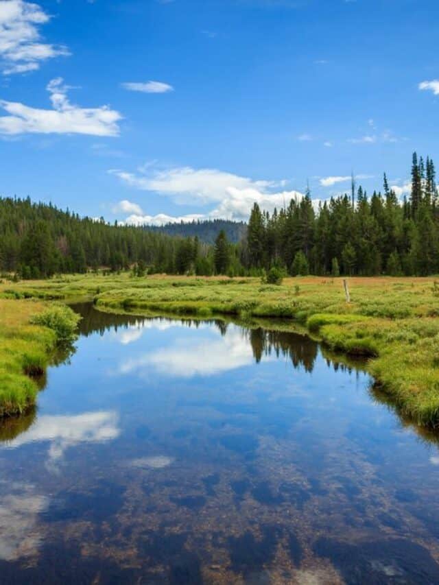 What is Boise, Idaho Famous for?