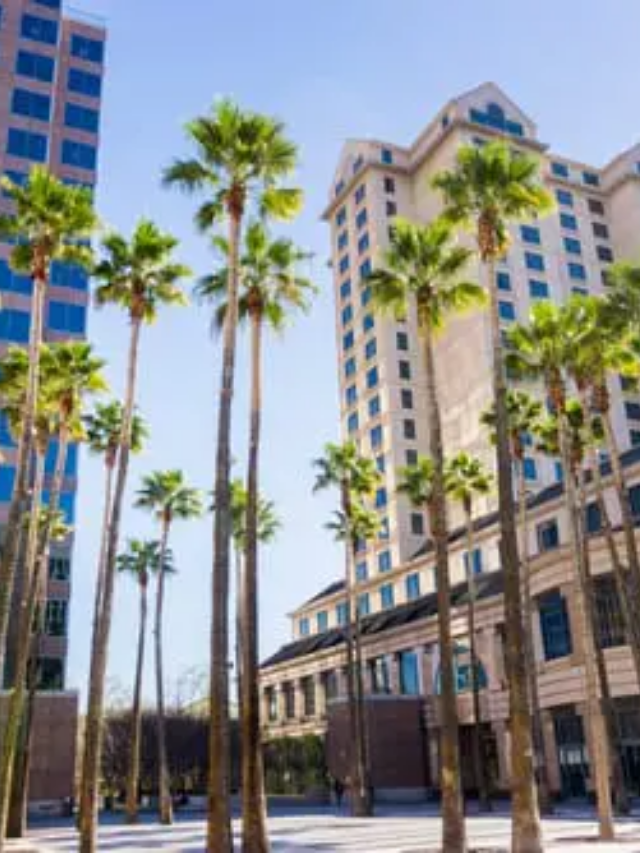 What is San Jose, California Famous for Story Poster Image