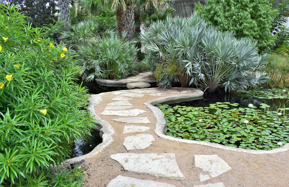 Garden and Pond Pathway San Antonio Botanical Gardens