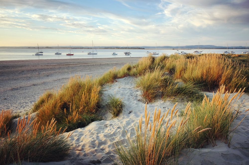 Sand dunes glow during the sunset on West Wittering beach, West Sussex, UK