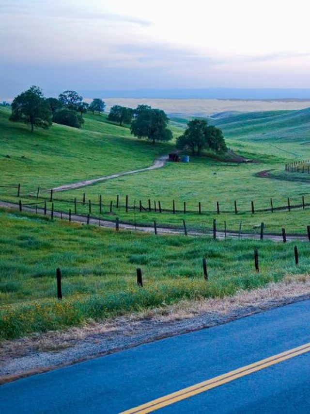 cropped-COUNTRY-ROAD-IN-EARLY-EVENING-AMONGST-FARM-PASTURES-NEAR-BAKERSFIELD-CALIFORNIA.jpg