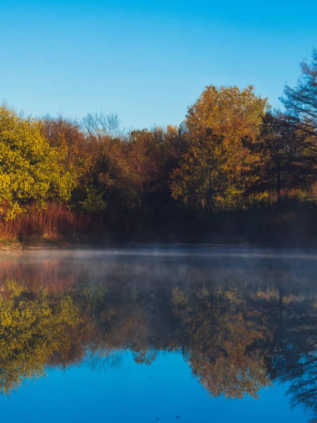 What Is Garland, Texas Famous For?