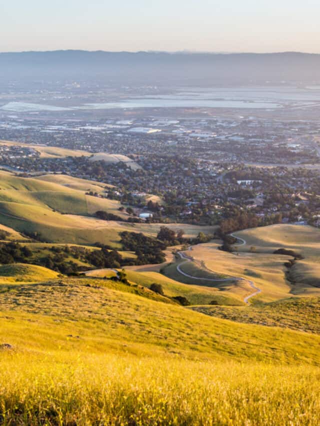 What Is Fremont, California Famous for?