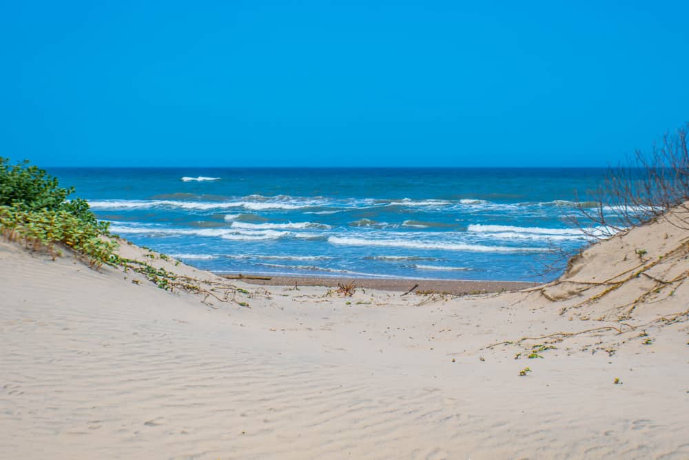A beautiful soft and fine sandy beach along the gulf coast of South Padre Island, Texas