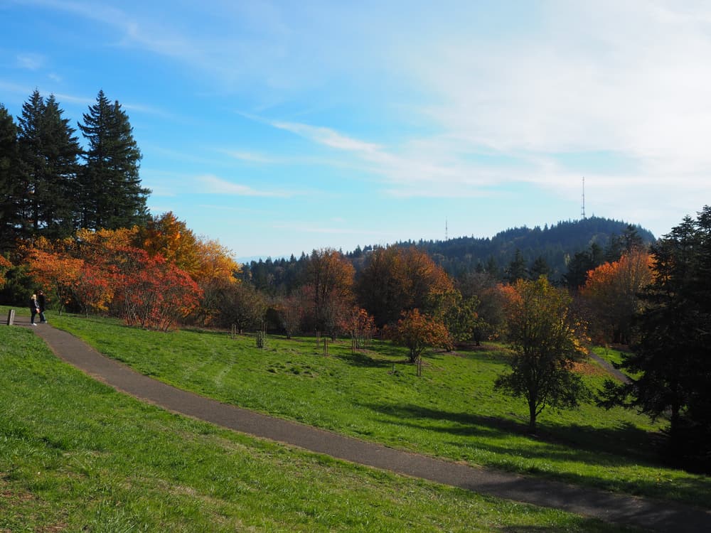 Nature landscape during autumn at Hoyt Arboretum in Portland, Oregon