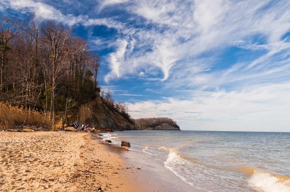 Beach and cliffs on the Chesapeake Bay at Calvert Cliffs State Park, Maryland.