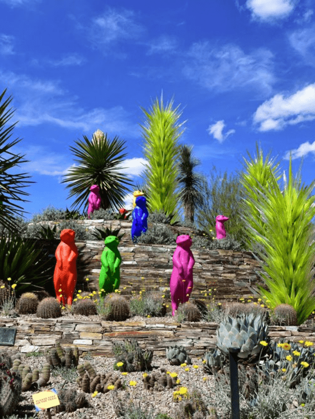 Best Places to visit in Phoenix, Arizona