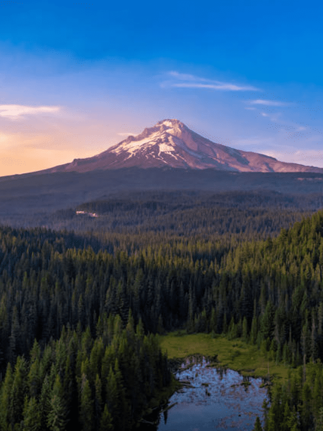 Best Places to visit in Portland, Oregon Poster Image
