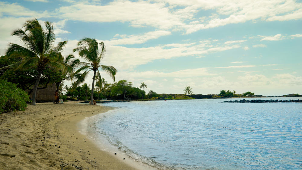 Kamakahonu Beach, Hawaii has sandy beach, shoreline, and palm trees surrounding cove