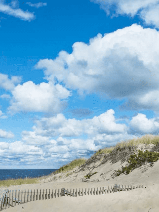 10 Best Beaches in Cape Cod for Families