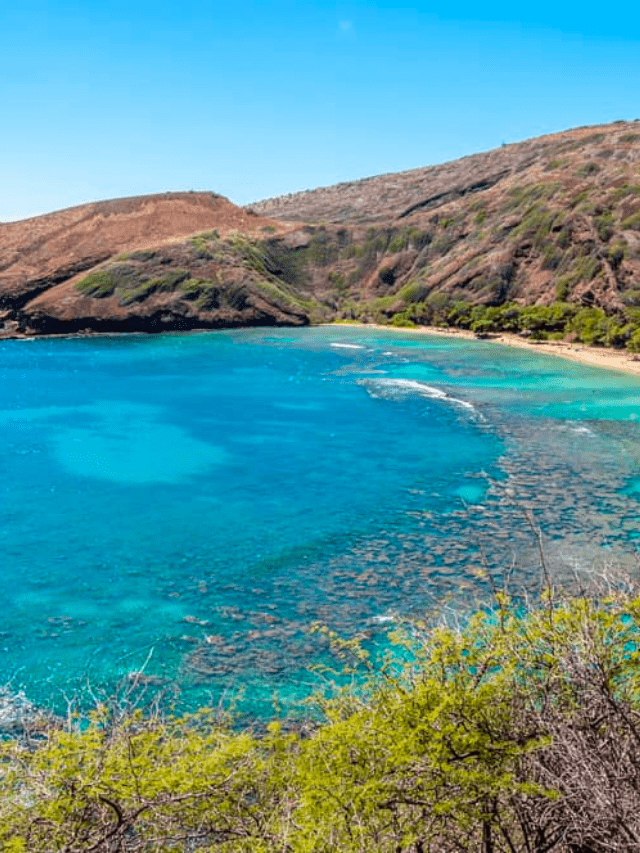 17 Best Family Beaches in Hawaii