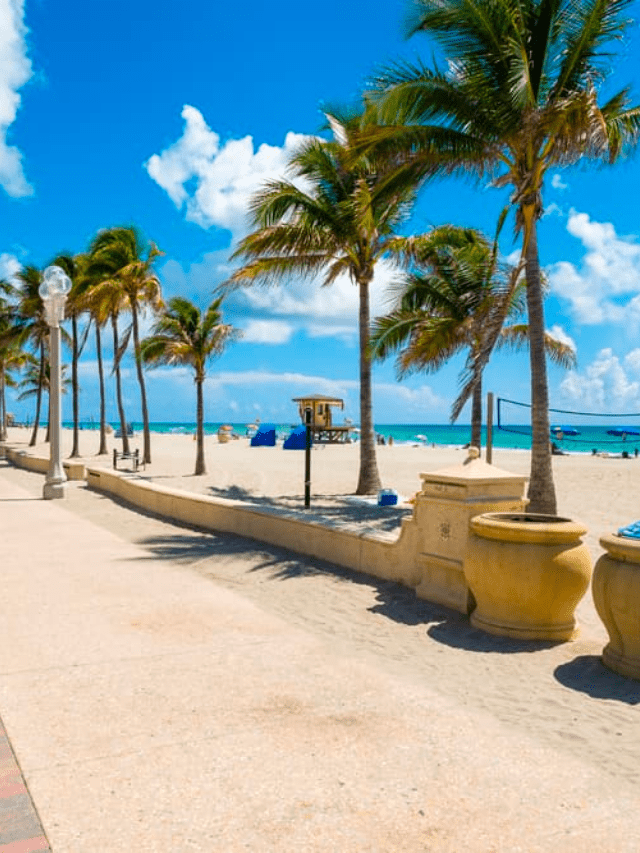 6 Best Family Beaches in South Florida Story Poster Image