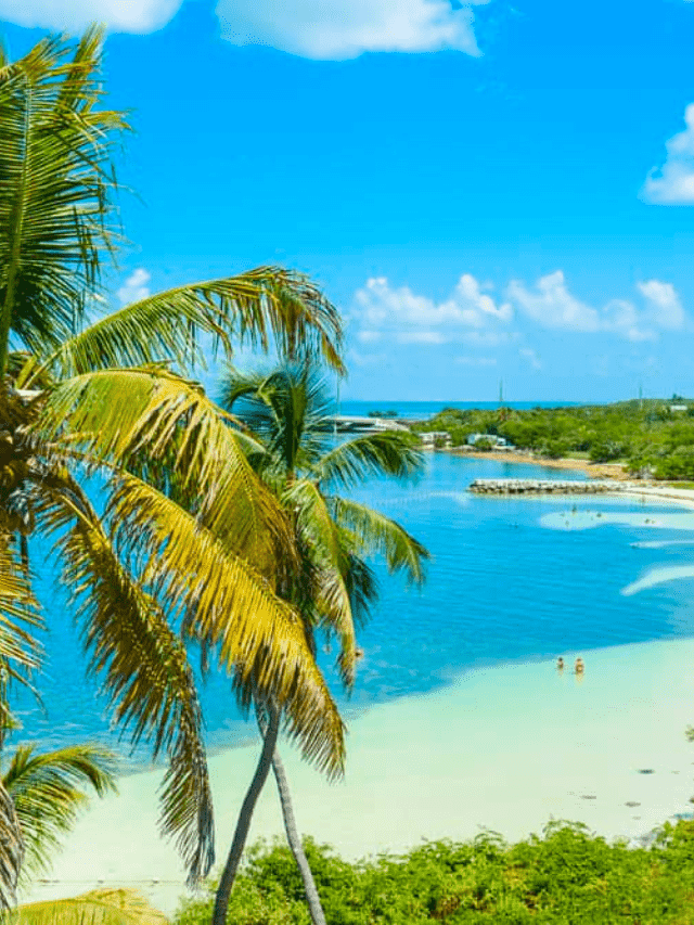 7 Best Beaches in Florida Keys for Families