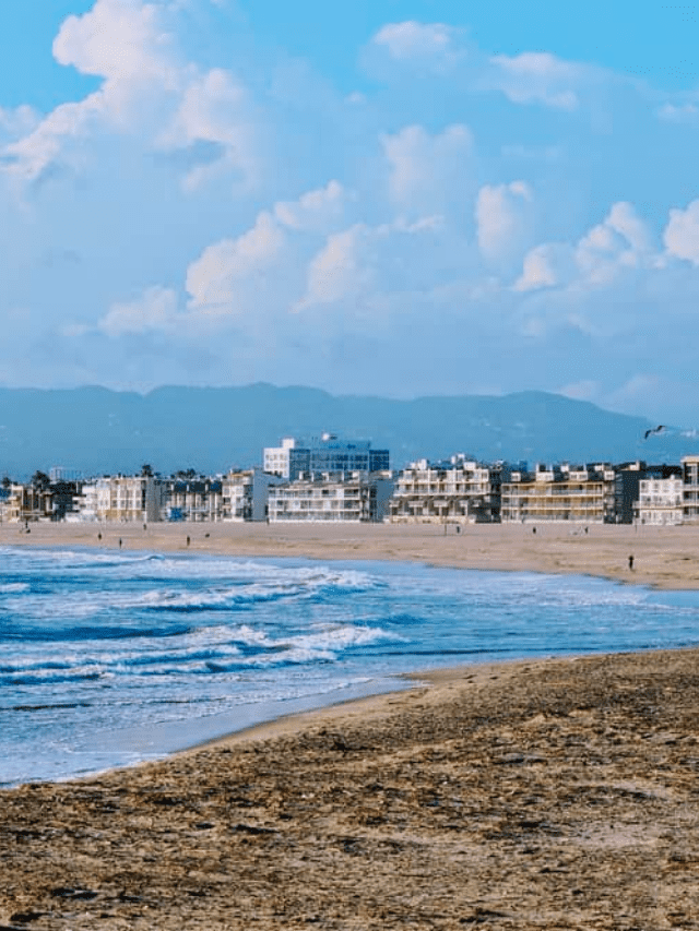 9 Best Beaches in Los Angeles for Families