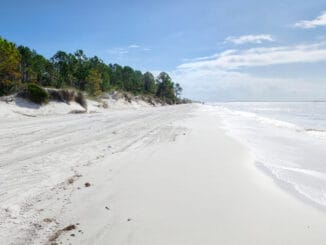 Amelia Island Florida