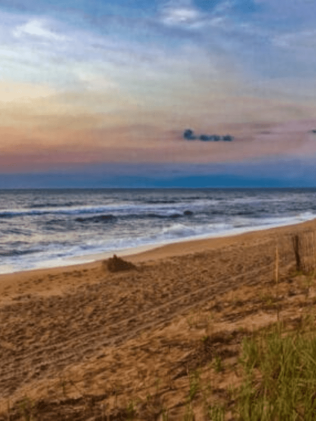 Best Beaches in North Carolina