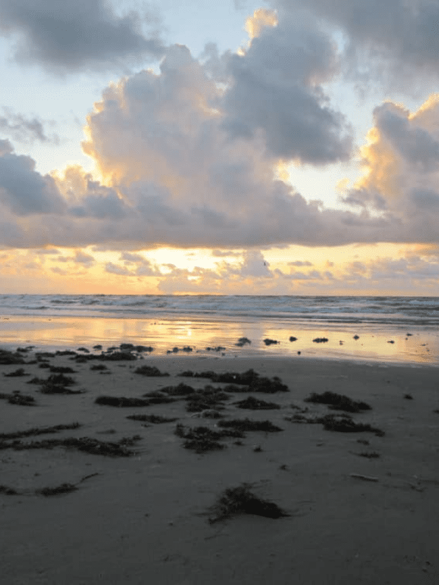 Best Beaches in Texas Story Poster Image
