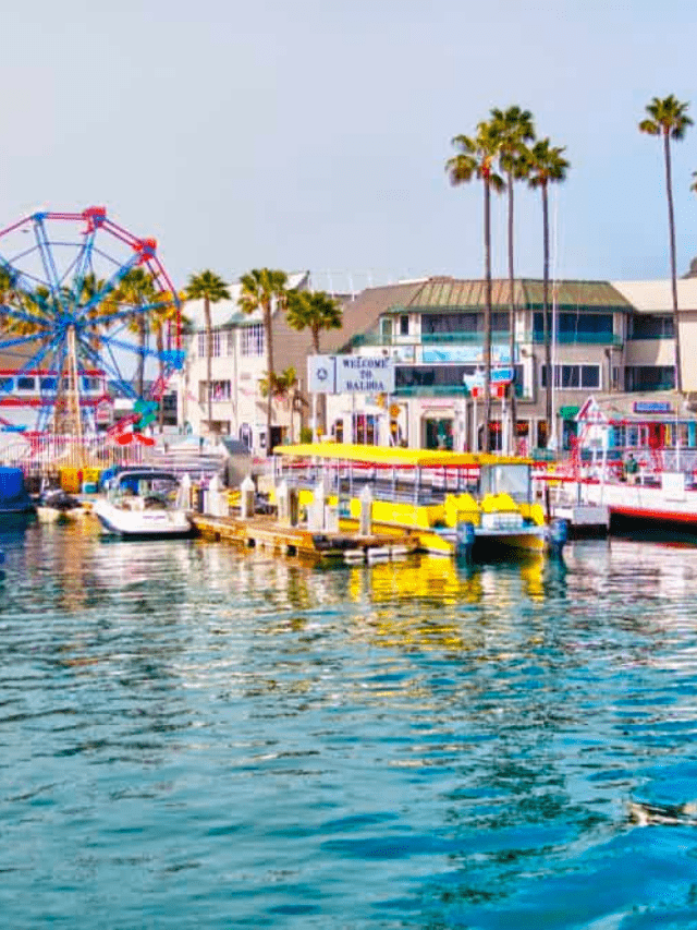 Best Family Beaches in Southern California Story Poster Image