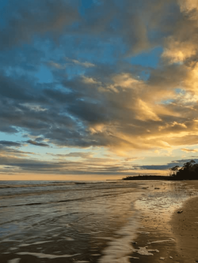 8 Best Carolina Beaches for Families
