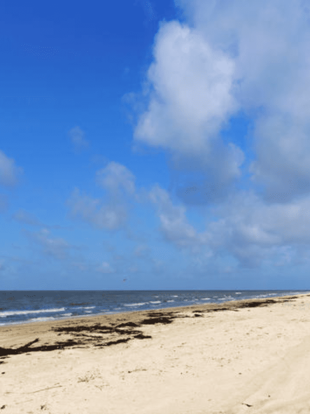 Best Louisiana Beaches for Families