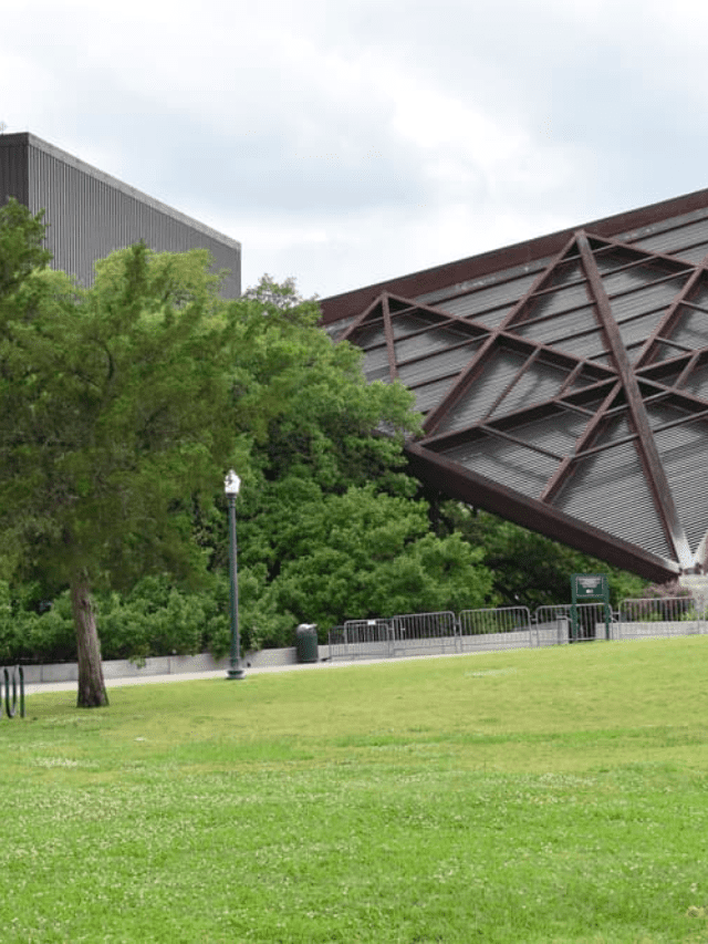 Fun Family Things to Do in Houston, Texas This Weekend Story Poster Image
