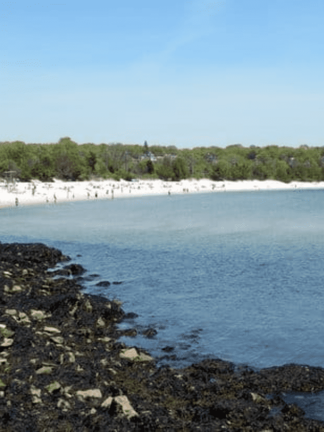 What Are the Best Beaches in Connecticut for Families?