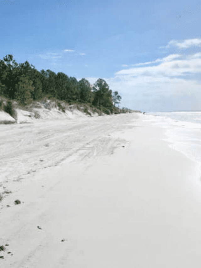 What are the Best Family Beaches in North Florida Story Poster Image