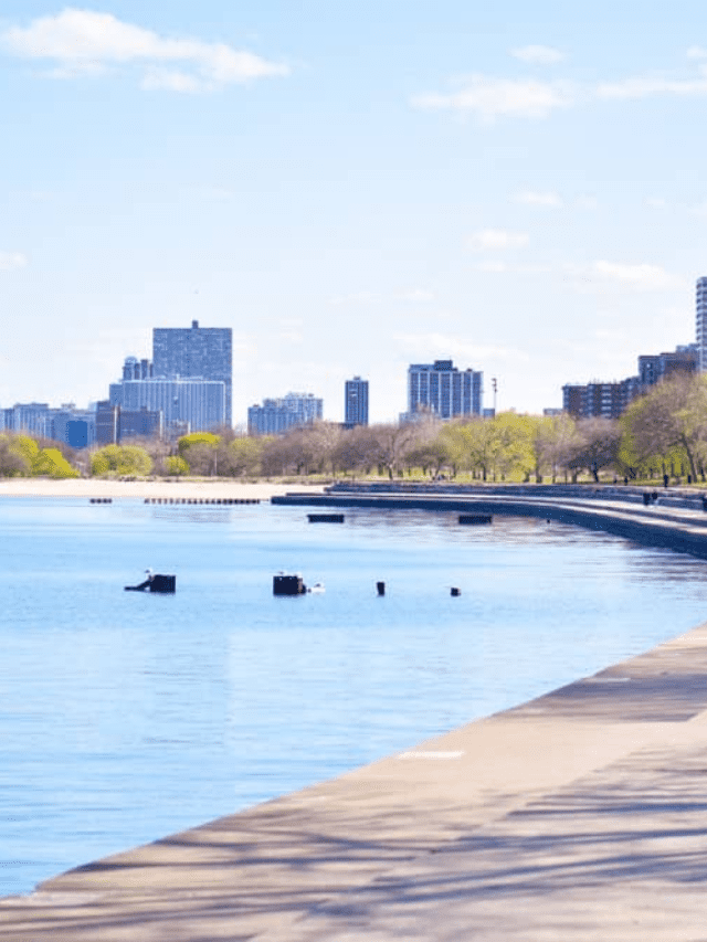What are the Best Family Beaches on Lake Michigan Story Poster Image
