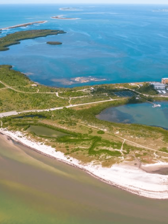 What are the Best Family-Friendly Beaches near Clearwater, Florida Story Poster Image