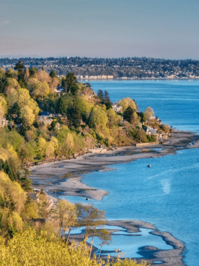 What are the best beaches in Seattle for families?