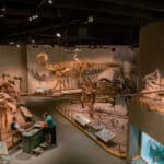 Denver Museum of Nature and Science