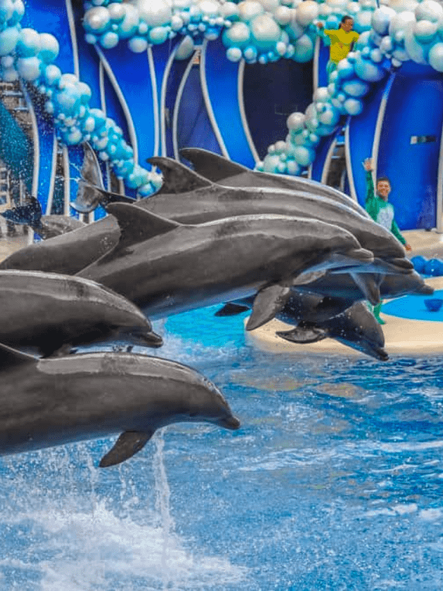 Things to do in San Antonio, Texas with Kids