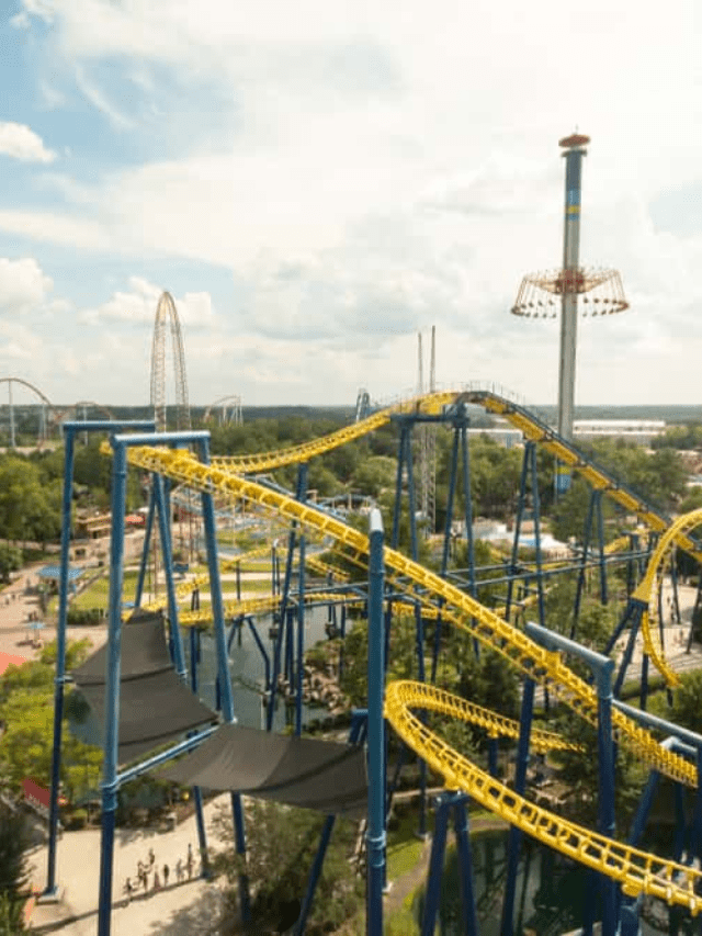 Fun Family things to do in Charlotte, NC this weekend Story Poster Image