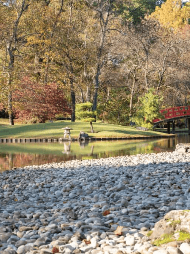 Things to do in Memphis with Kids