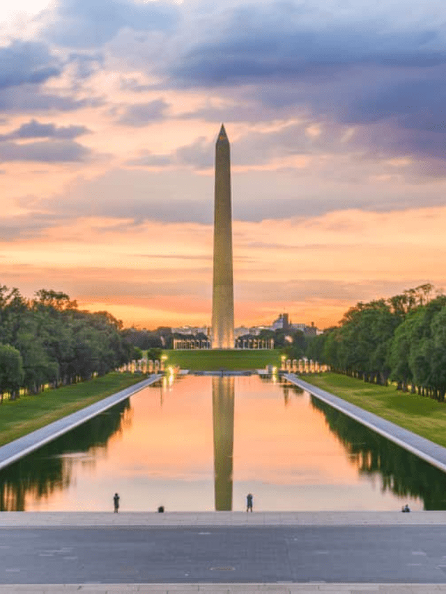 Things to do in Washington with Kids Story Poster Image