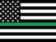 What is the Symbolism Behind a Green Striped American Flag?