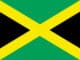 What Flag is Green With a Yellow Cross?