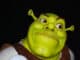 How tall is Shrek? Shrek Height, Age, Weight and Much More