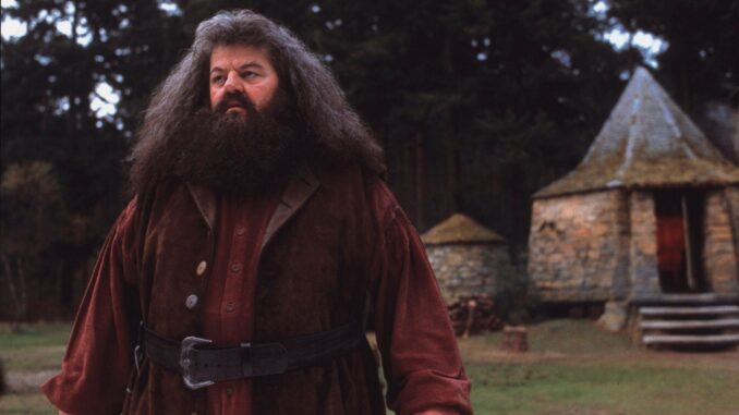 How tall is Hagrid from Harry Potter? Hagrid Height, Age, Weight and Much More